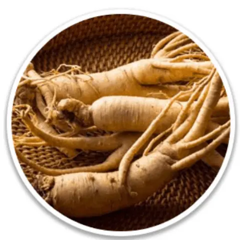 Puravive 4th Ingredients White Korean Ginseng